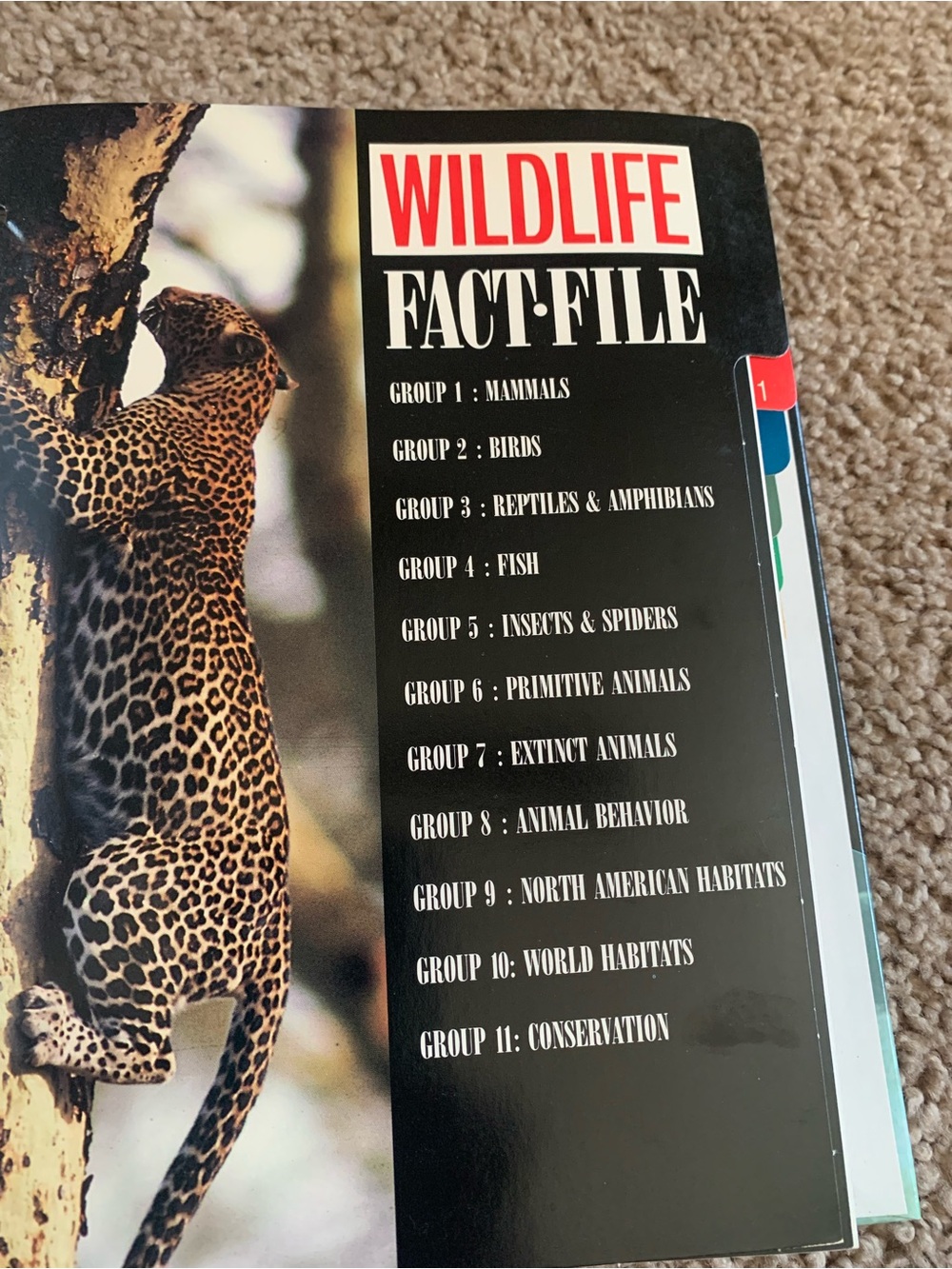 Wildlife Fact File Reptiles & Amphibians Reference - Black